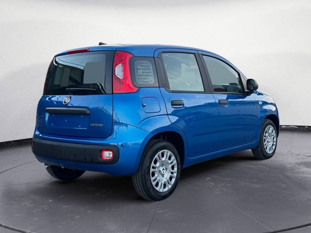 Miniatura Panda 5