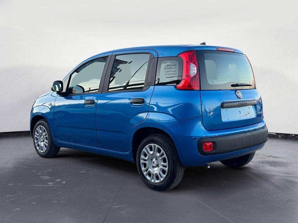 Miniatura Panda 7