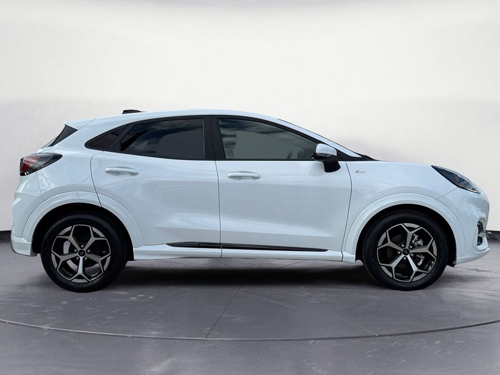 Miniatura Puma 4