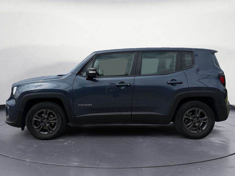 Miniatura Renegade 8