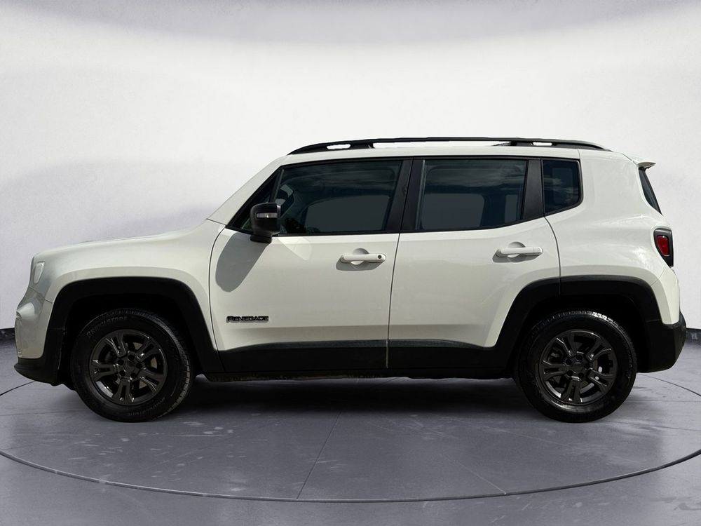 Miniatura Renegade 8