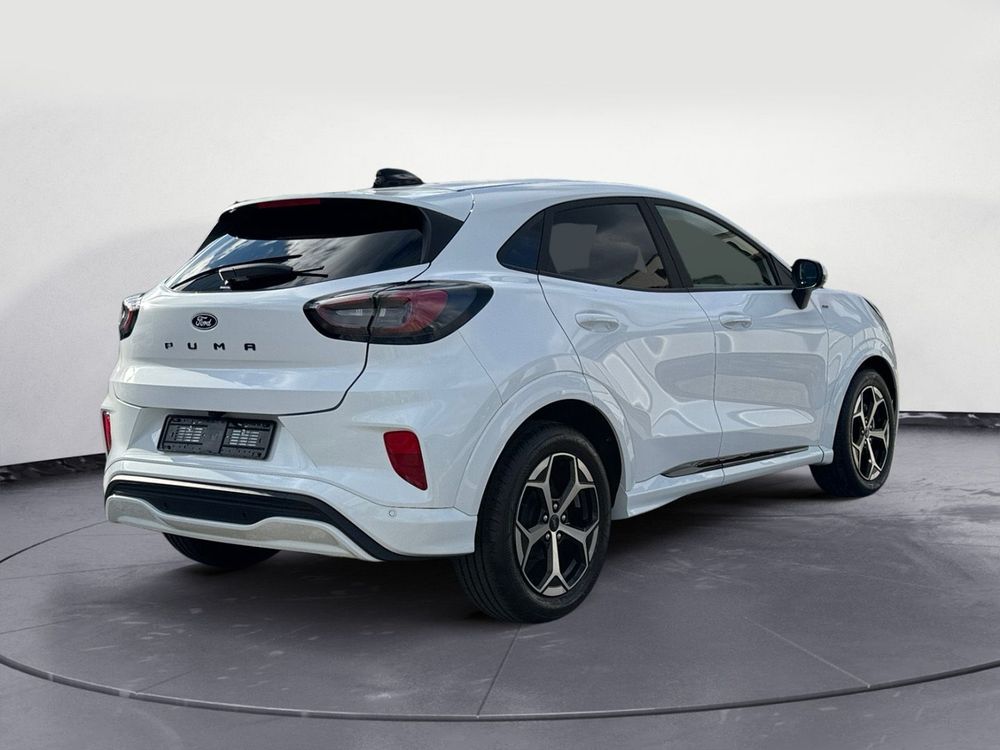 Miniatura Puma 5