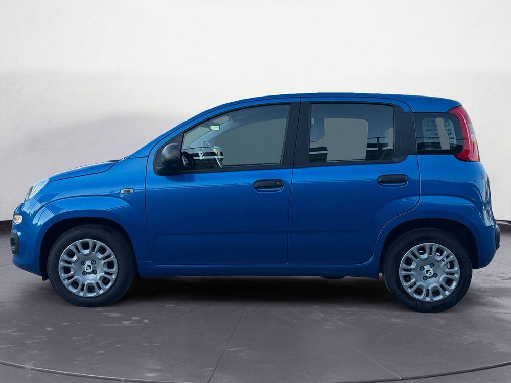Miniatura Panda 8