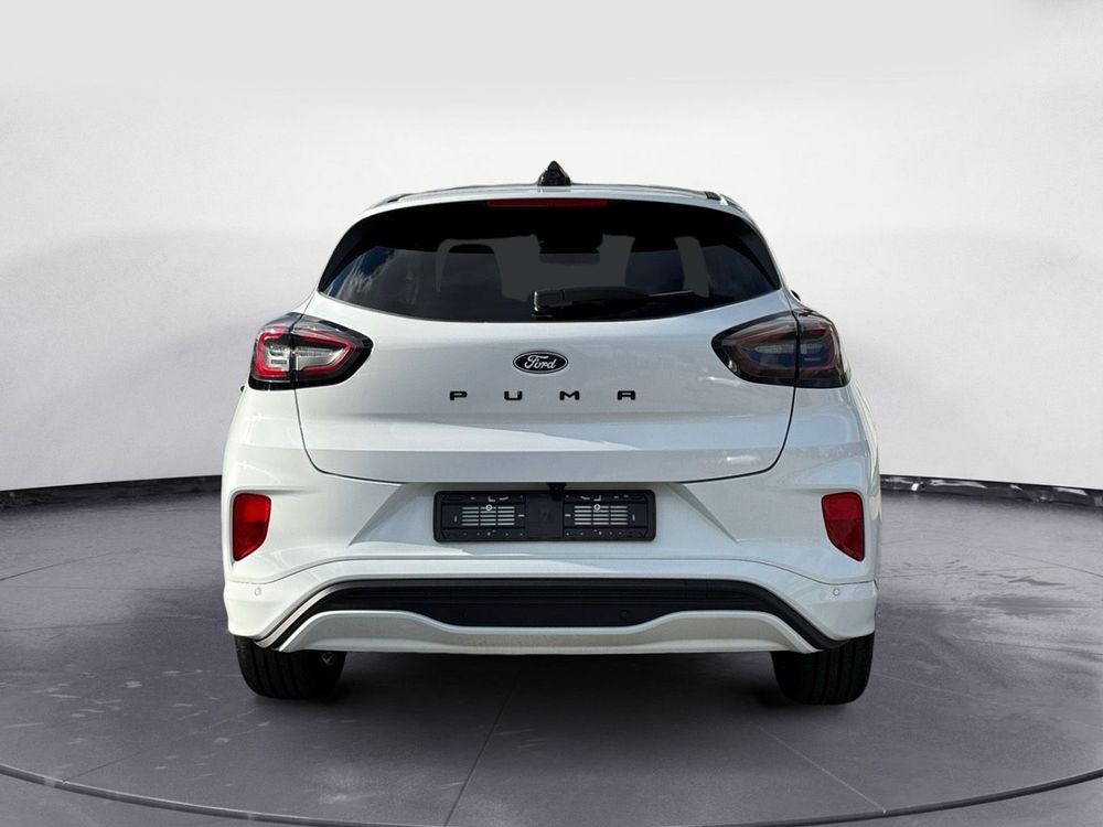 Miniatura Puma 6