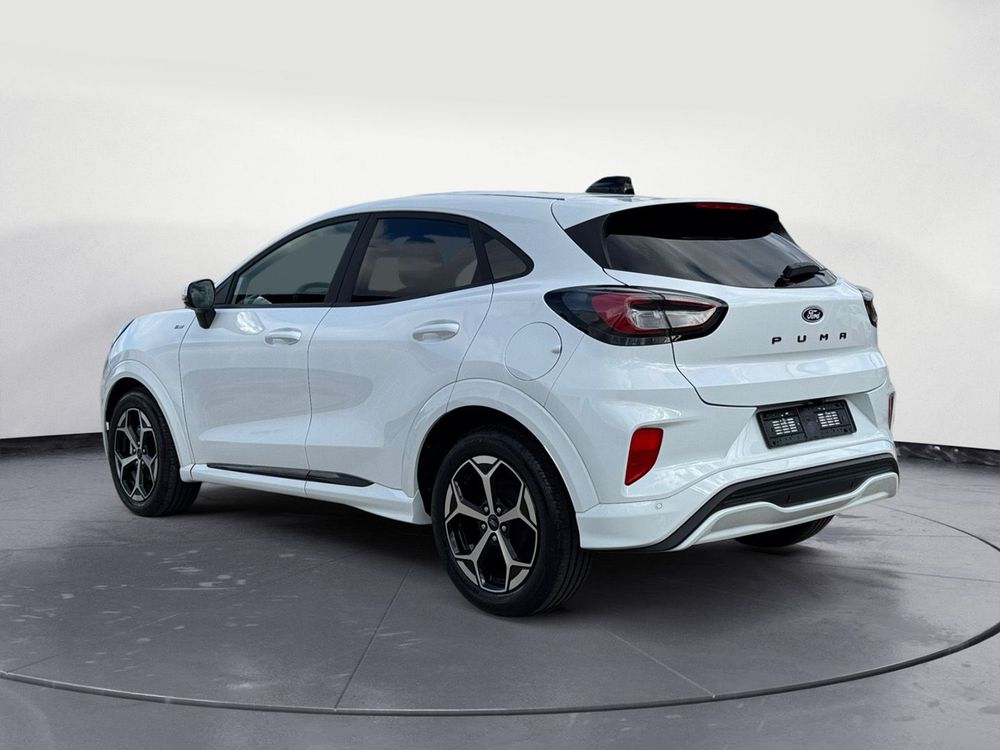 Miniatura Puma 7