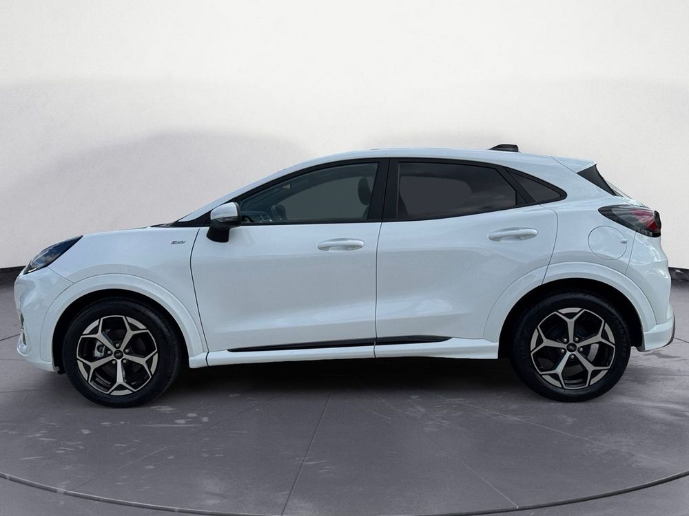 Miniatura Puma 8