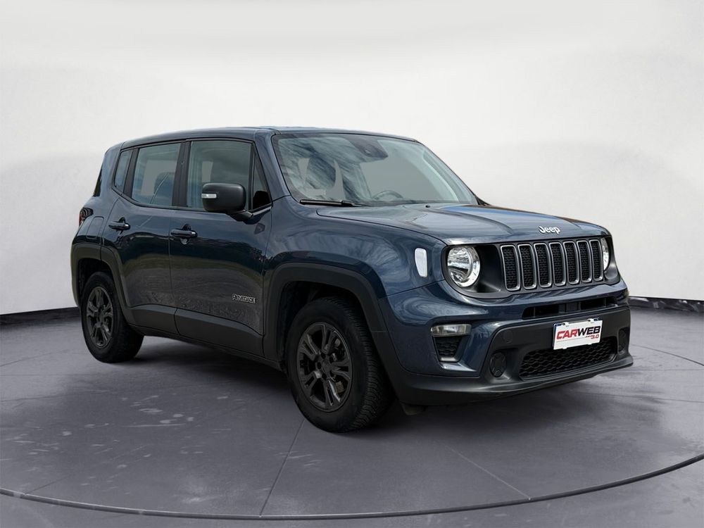Miniatura Renegade 3