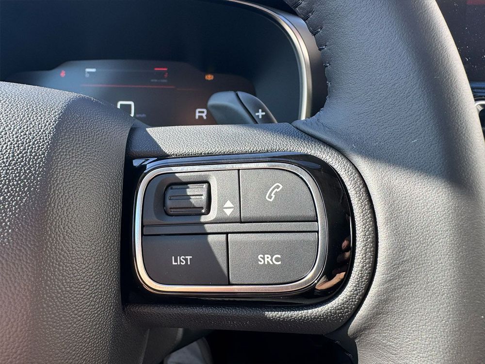 Miniatura C5 Aircross 19